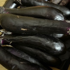 B品野菜セットの画像