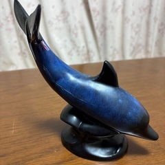 イルカ他の画像