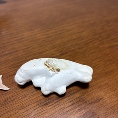 イルカ他の画像