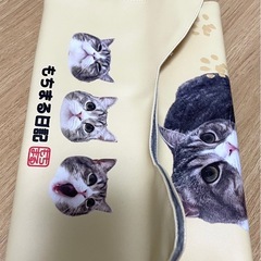 もちまる日記　ティッシュケースの画像