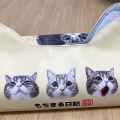 もちまる日記　ティッシュケースの画像