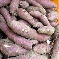 訳あり‼️さつまいも5キロ‼️品種：紅はるかの画像