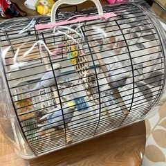 バードケージ（中古）の画像