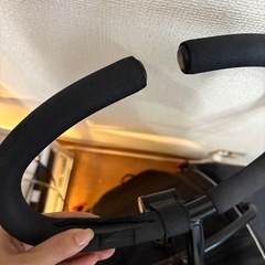 【使用感あり】エアバギーペットカートの画像