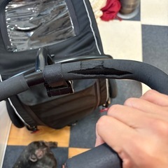 【使用感あり】エアバギーペットカートの画像