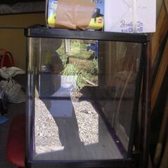 差し上げます　熱帯魚　金魚の水槽　2個の画像