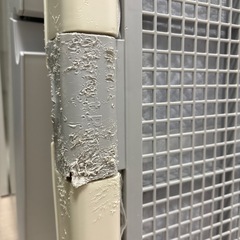 イヌラボ　トイレ　ペットの画像