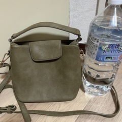 2way秋色バックの画像