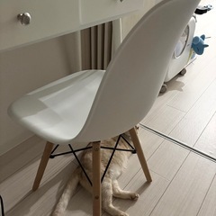 椅子の画像