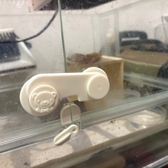【訳あり】ハムスターケージ/グラスハーモニー450の画像
