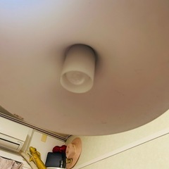 ペンダントライト ホワイト 天井 シーリングライト の画像