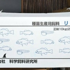 【決まりました】SUKメダカ🐟　★ご予約品）ミックスメダカ10匹+αの画像