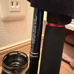 ダイワ daiwa 竿 リール セット SALTIGAの画像