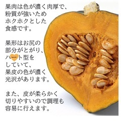 北海道ブランドかぼちゃ　黒王　一個の画像