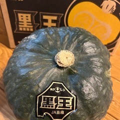 北海道ブランドかぼちゃ　黒王　一個の画像