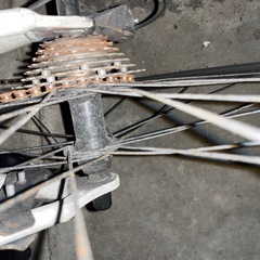 Canover クロスバイクの画像
