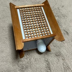 ライト二つですの画像