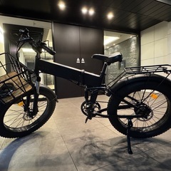 MOVE X 折りたたみ電動アシスト自転車　ファットバイク　送料込み　美品 MOVE X｜次世代ファットタイヤ型E-bike｜折りたたみ電動アシスト