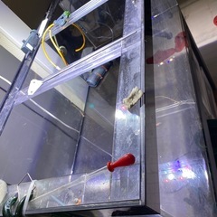 ★決まりました★【中古】120cmアクリル水槽（幅120×奥行60×高さ45cm）の画像