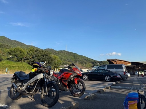 【商談中】ウルフ50