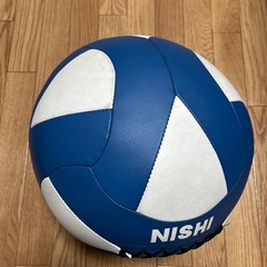 メディシンボール  Nishiスポーツの画像