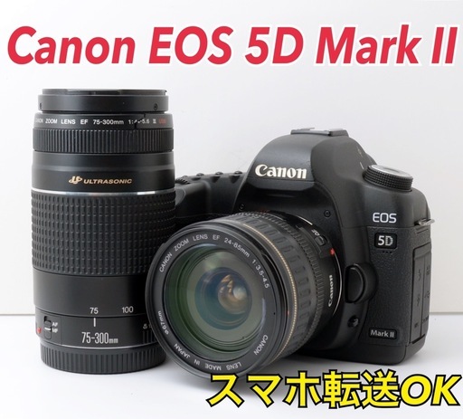 ⭐Canon EOS 5D Mark II フルサイズ⭐近望遠レンズ 本格機⭐ EOS 5D Mark II - キヤノンカメラミュージアム