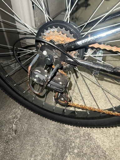 ジュニア自転車(サドルを変えれば大人の方も！)