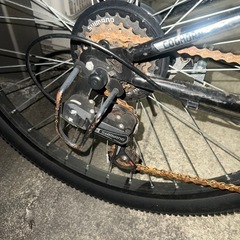 ジュニア自転車(サドルを変えれば大人の方も！)の画像