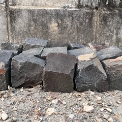 ピンコロ石　黒　【30個】の画像