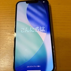 iPhone13Pro シルバー　256ぎが㎇の画像