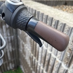 パナソニック 
Panasonic 電動自転車 ギュット・クルームR EX 20インチの画像