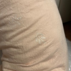 サンデシカ 抱き枕の画像