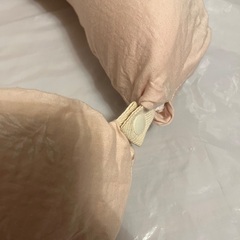 サンデシカ 抱き枕の画像
