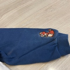 ミッキートレーナー110の画像