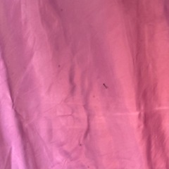 ワンタッチテントの画像