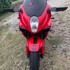 ヒョースン　GT250R 愛知県大府市
より　近県であれば配送しますの画像