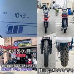 ベネリGOCCIA GEV600 低走行で綺麗でコスパ最強な一台^_^の画像
