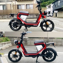 ベネリGOCCIA GEV600 低走行で綺麗でコスパ最強な一台^_^の画像