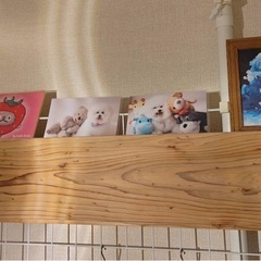 ネットにかけられる板の画像