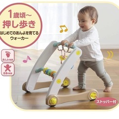 うちの赤ちゃん世界一　スマート知育ジム＆ウォーカー
の画像