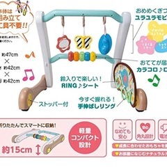 うちの赤ちゃん世界一　スマート知育ジム＆ウォーカー
の画像