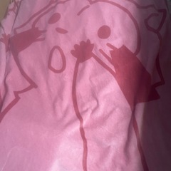 ラスカル　めちゃデカ毛布の画像