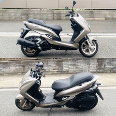 マジェスティ155S 低走行で綺麗でコスパ最強な一台^_^の画像