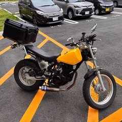 tw200 スカチューン　キャンプ仕様 の画像