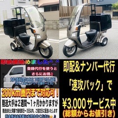 ホンダジャイロキャノピーTA02 ちょっぴりお洒落なカラーのキャノピーちゃんです♪の画像