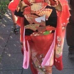 七五三の着物セットの画像