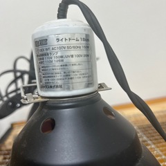 ライトドームの画像