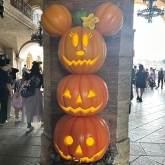 ディズニー好きのお友達募集🏰🌋