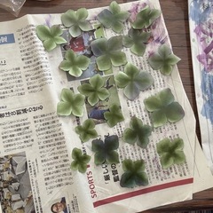 布花　アートフラワー教室の画像