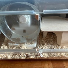 ハムスターケージの画像